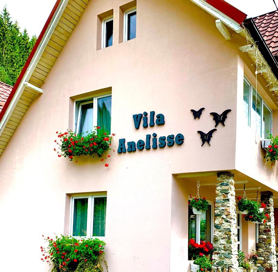 Anelisse Inn Moeciu De Sus Extérieur photo