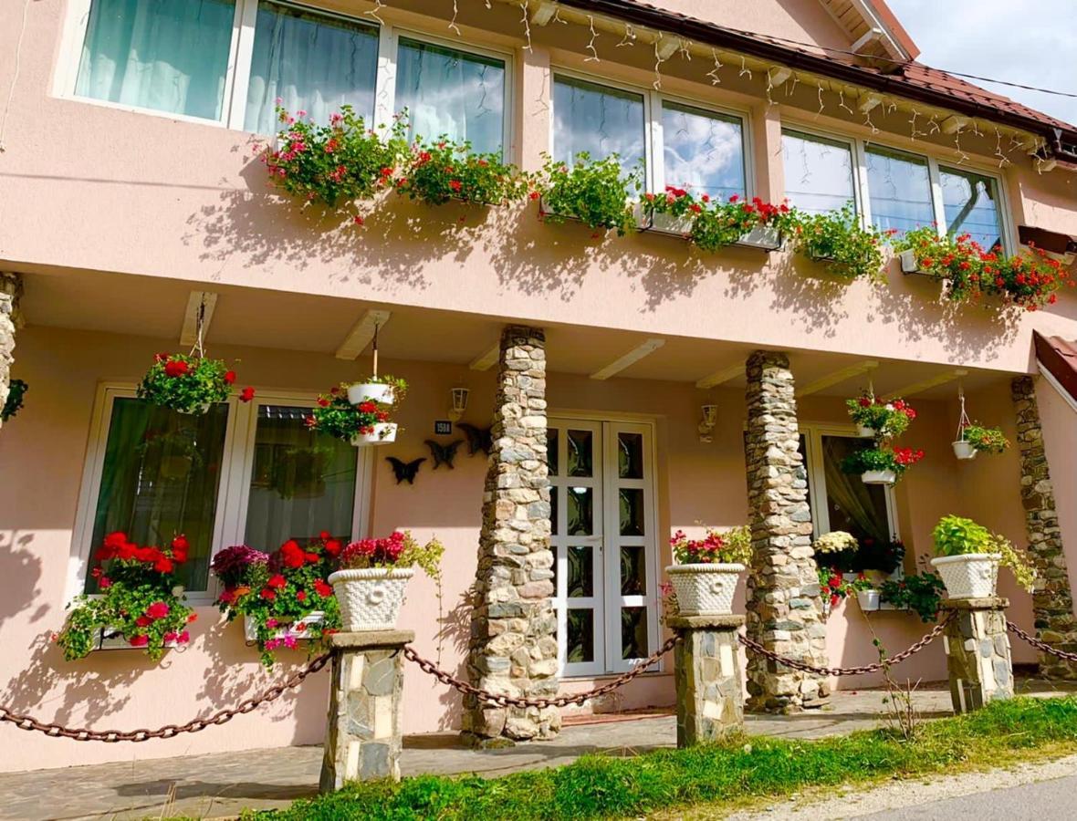 Anelisse Inn Moeciu De Sus Extérieur photo