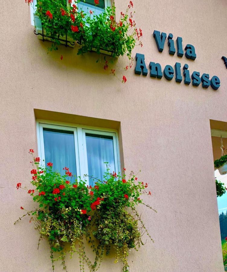Anelisse Inn Moeciu De Sus Extérieur photo