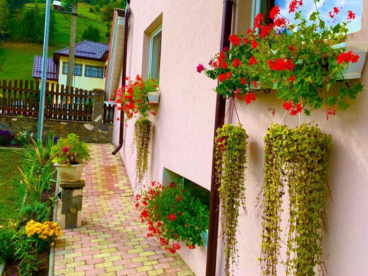 Anelisse Inn Moeciu De Sus Extérieur photo