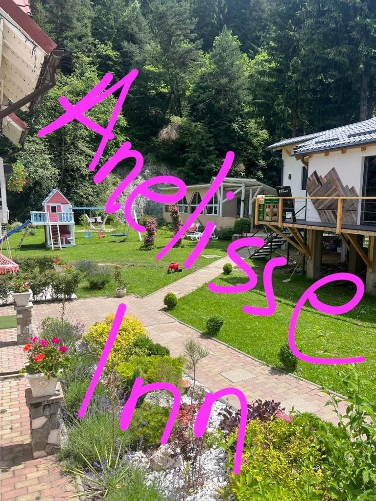 Anelisse Inn Moeciu De Sus Extérieur photo